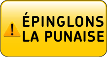 �pinglons la punaise
