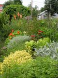 jardin communautaire