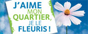 Distribution de fleurs