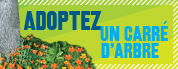 Adoptez un carr� d'arbre