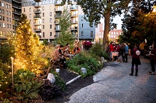 ruelle arbre fort