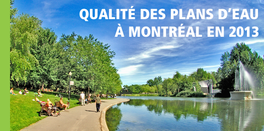 Portrait de qualité des cours d'eau de Montréal en 2013