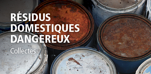 Image RDD 2016_français