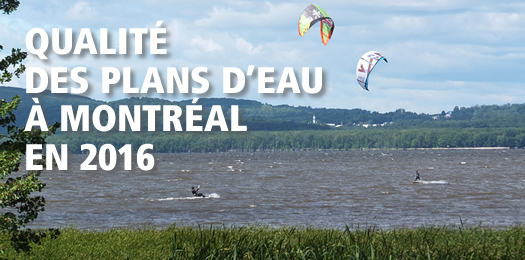 Qualité des plans d'eau à Montréal en 2016