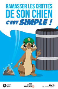 Campagne de propreté - Ramasser les crottes de son chien