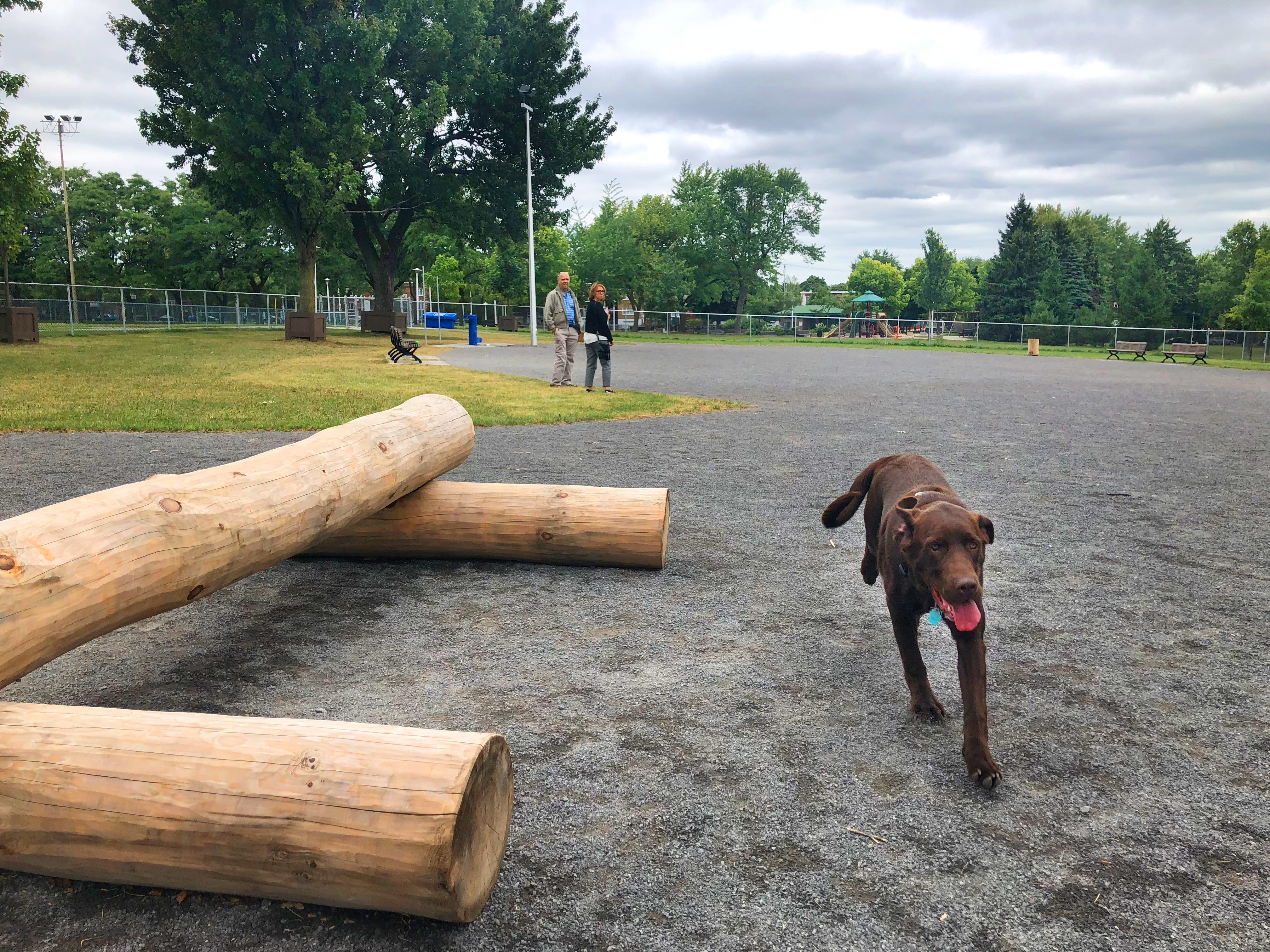 Parcs et aires d'exercice canins