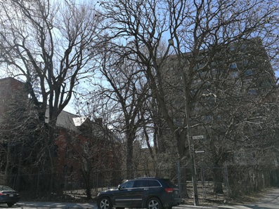 Jardin Notman