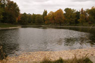 Lac du parc Lafontaine