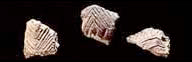 Patrimoine arch�ologique
