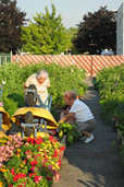 Jardin communautaire de l'arrondissement d'Anjou