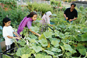 Famille dans un jardin communautaire