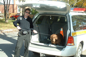 Chien captur�.