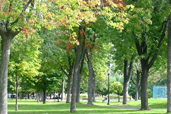Parc