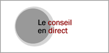 Le conseil en direct