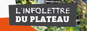 Le bulletin