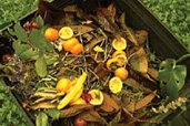 Compost