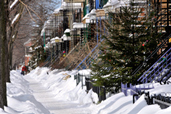 Rue hiver