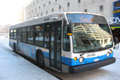 Navette Or-Ligne254