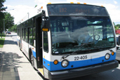 Bus