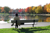 Parc du Mont-Royal et alentours
