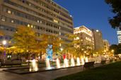 Quartier International de Montr�al
