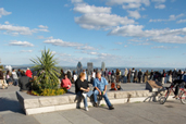 Vue du Mont-Royal