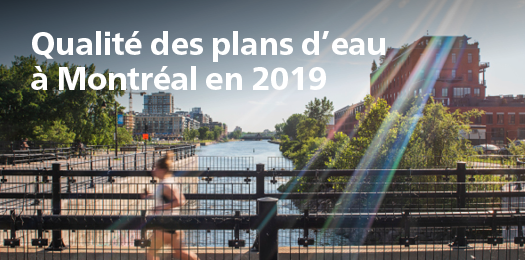 Qualité des plans d'eau à Montréal en 2019