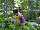 Jardinage en ville