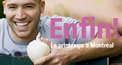 Enfin le printemps � Montr�al!