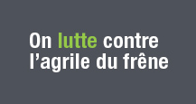 On lutte contre l'argile du fr�ne