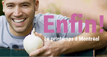 Enfin le printemps � Montr�al!