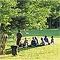 Mont Royal