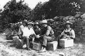 Empaquetage de tomates pour le marché Bonsecours, 1925