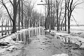 Le boulevard Gouin inondé à Rivière-des-Prairies, 1936