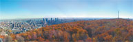 Protection et mise en valeur du Mont Royal