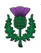 Le chardon