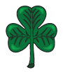 Le trèfle d'Irlande