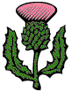 Le chardon