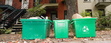 Recyclables in green bins