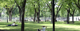 Park, Plateau-Mont-Royal