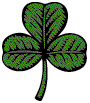 Le trèfle d'Irlande