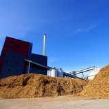 How to boost biomass sectors to create renewable energy ?