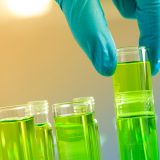 Researchers Use E.coli to Engineer Improved Biofuels