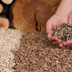 Biomass to replace coal