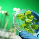 Bionic leaf turns sunlight into liquid fuel, outperforms the real thing