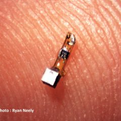 Electronic ‘Neural Dust’ Could Monitor Your Brain