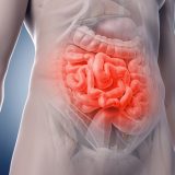 Researchers create an artificial human gut