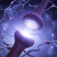 Electronic synapses for a future artificial brain