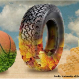 Researchers invent process to make sustainable rubber and plastics