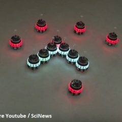 A dozen autonomous robots form a bigger robot